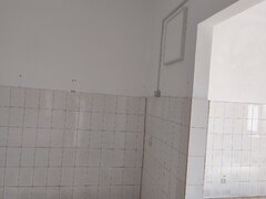 Berzei, strada Transilvaniei nr. 70, Bucuresti