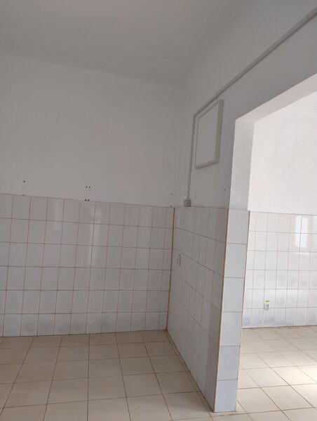 Berzei, strada Transilvaniei nr. 70, Bucuresti,